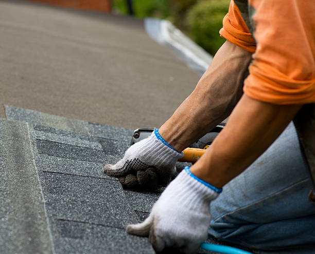 Professional Roofing Contractor in Salix, PA